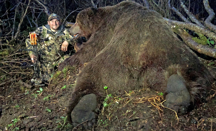 Massive Alaskan Brown Bear is the New World Record
