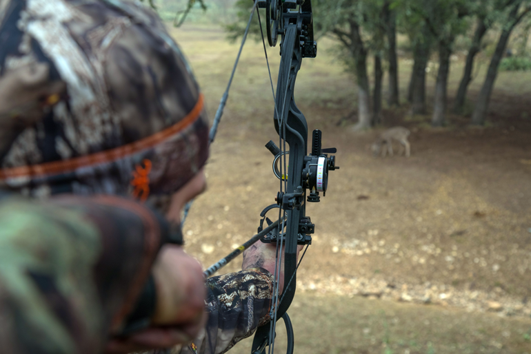 Treestand Shot Selection for Bowhunters