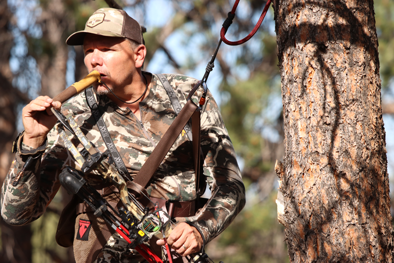 Look to Tree Saddle Hunting for Fall Success