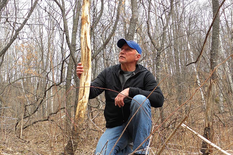 Spring Scouting Strategies for Successful Whitetail Hunting