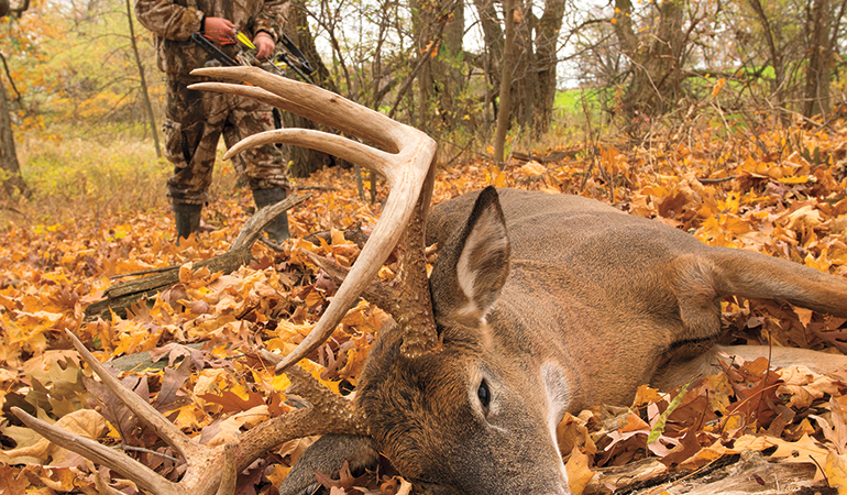 Are Hunters To Blame for CWD?