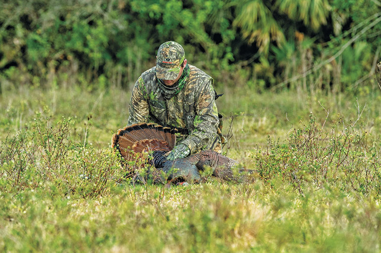 How to Bowhunt Turkeys without a Blind