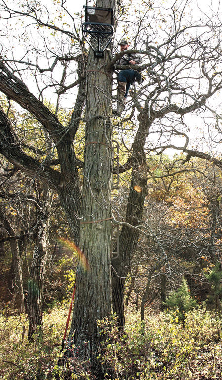 Hunter-Climbing-into-Treestand.jpg