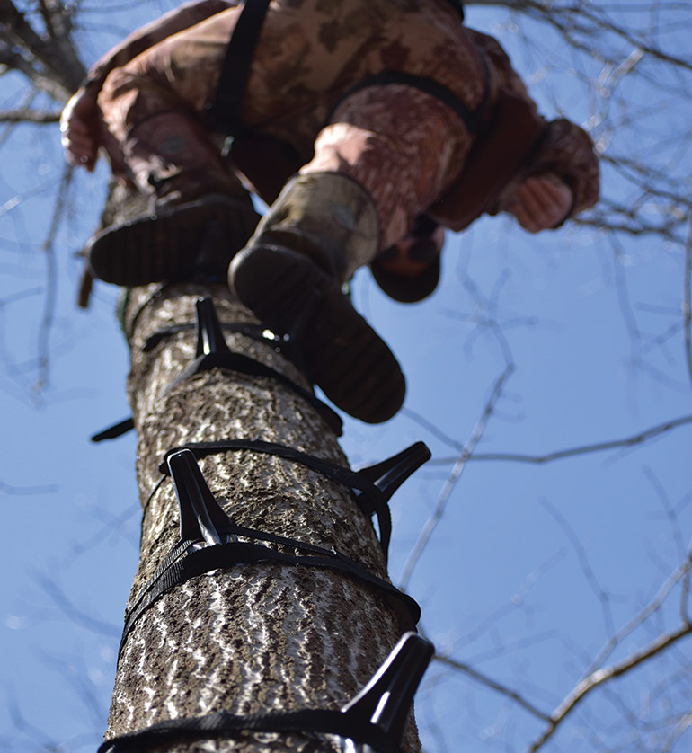 How Do You Get Up the Tree for Saddle Hunting?