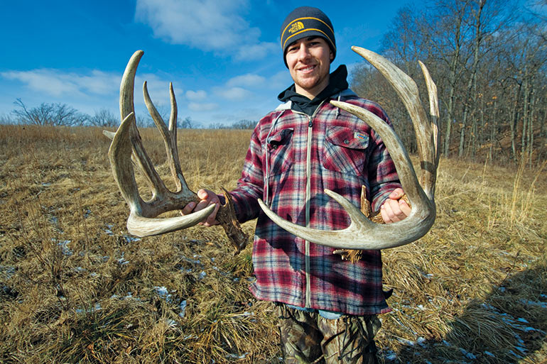 The Secrets Shed Antlers Tell About Whitetails