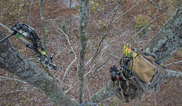 bowhunting setup in triple trees