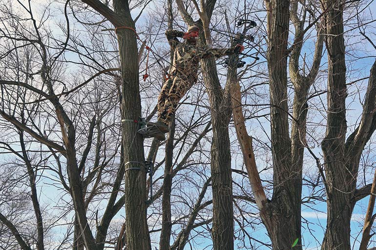Why You Should Try Tree Saddle Hunting