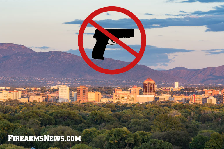Albuquerque Mayor Skirts State Law, Bans Guns in City Parks