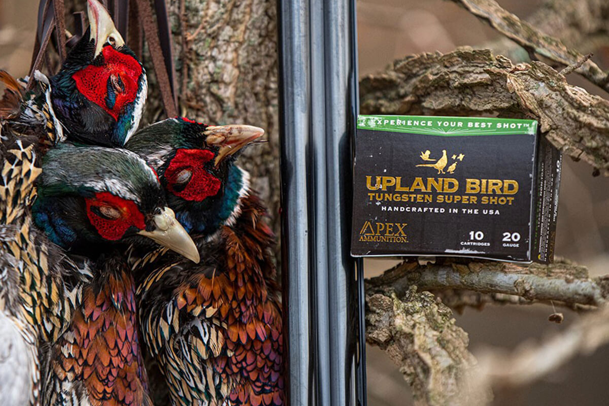 APEX Ammunition Upland Bird TSS Loads: Exceptional Performance in a Non-Toxic Round