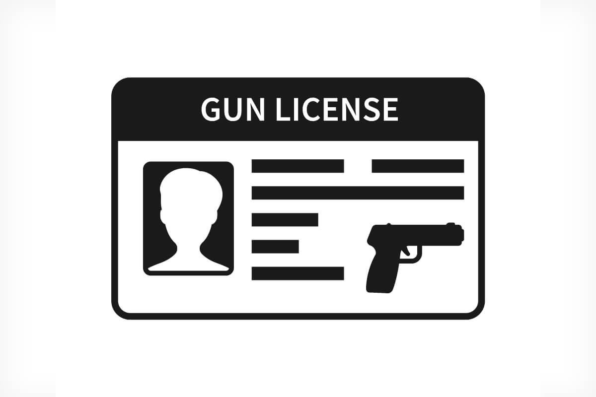 Gun-Ban Senators Propose Federal Licensing Scheme