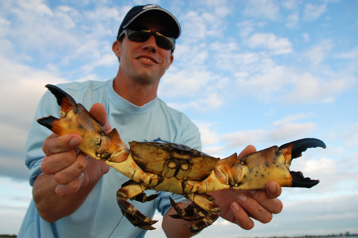 How to Catch and Cook Stone Crabs
