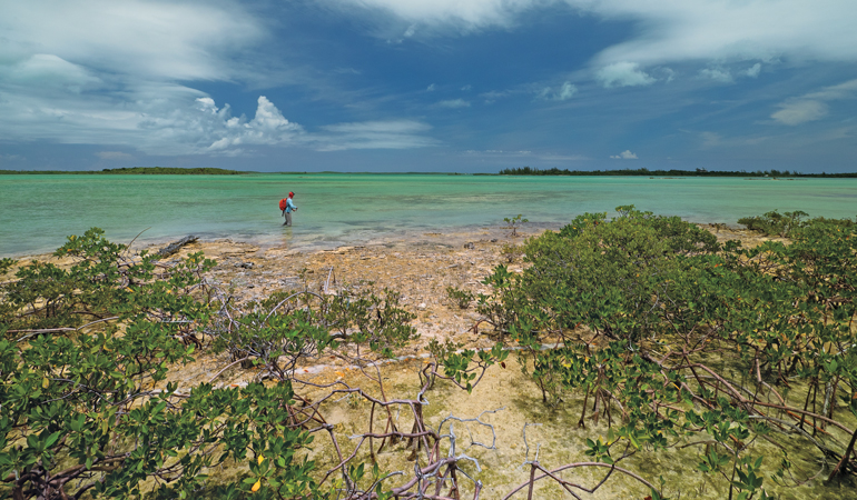 Bonefish in the Bahamas: Then & Now