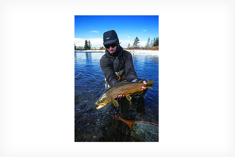 //content.osgnetworks.tv/flyfisherman/content/photos/Brown-Trout-Yellowstone.jpg