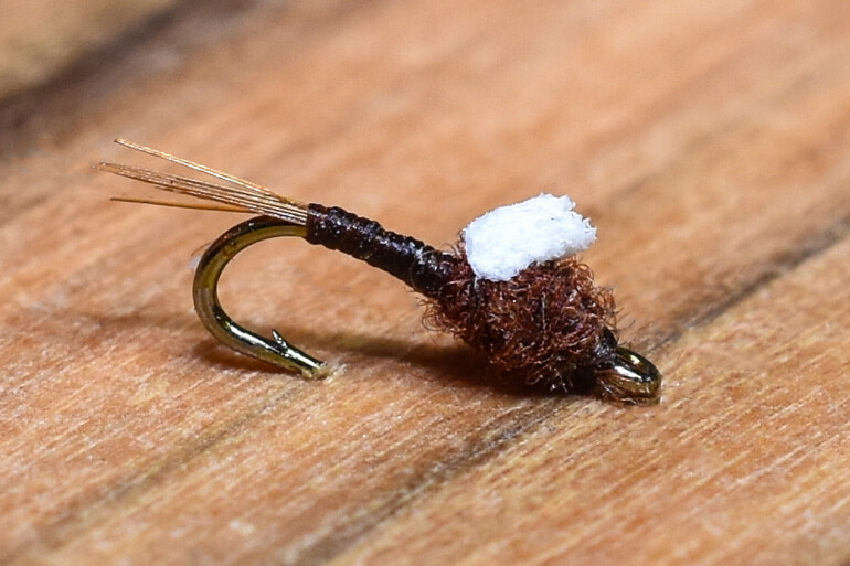 //content.osgnetworks.tv/flyfisherman/content/photos/Chocolate-Foam-Wing-Emerger.jpg