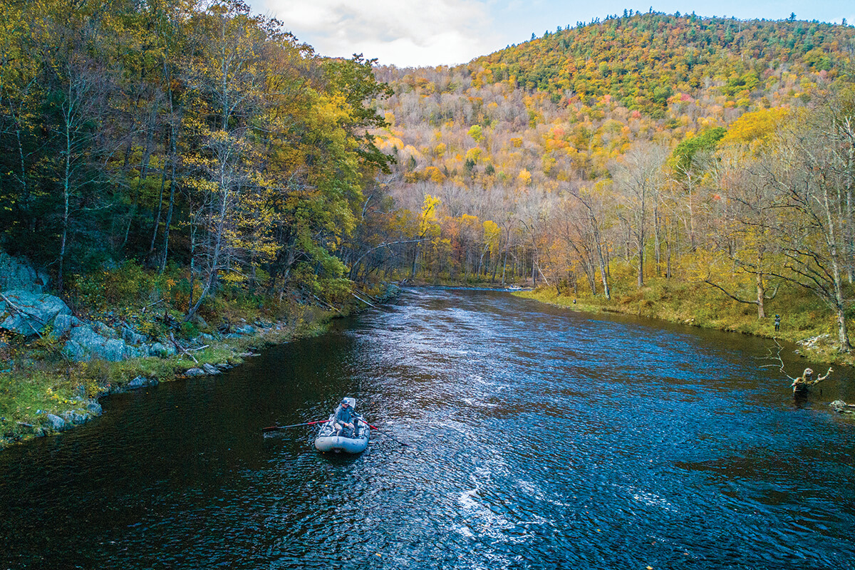 Going Wild on New England's Finest Trout Stream