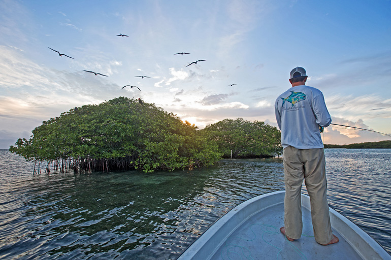 //content.osgnetworks.tv/flyfisherman/content/photos/Fly-Fishing-Permit-in-Belize.jpg