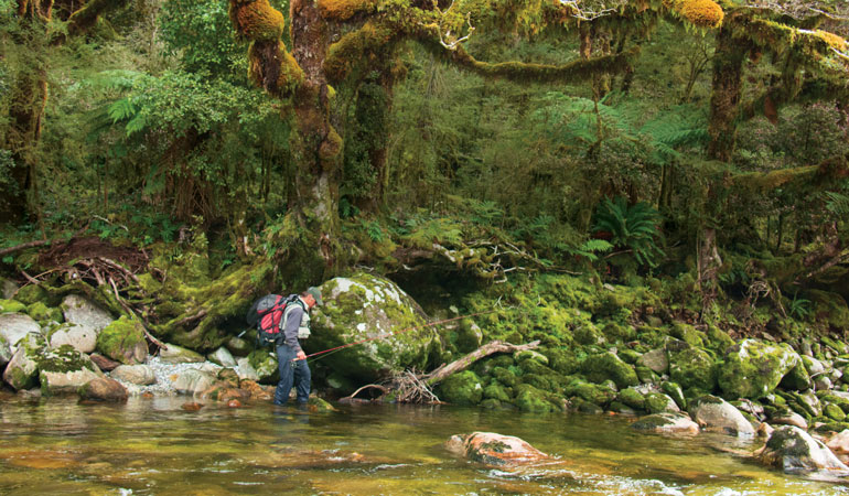New Zealand's South Island: The Mount Everest of Trout Fishing