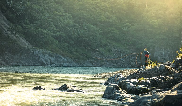 The Quest for the Golden Mahseer