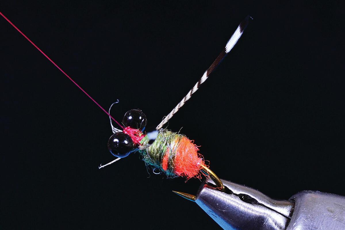 Tying the Hipster Dufus Fly