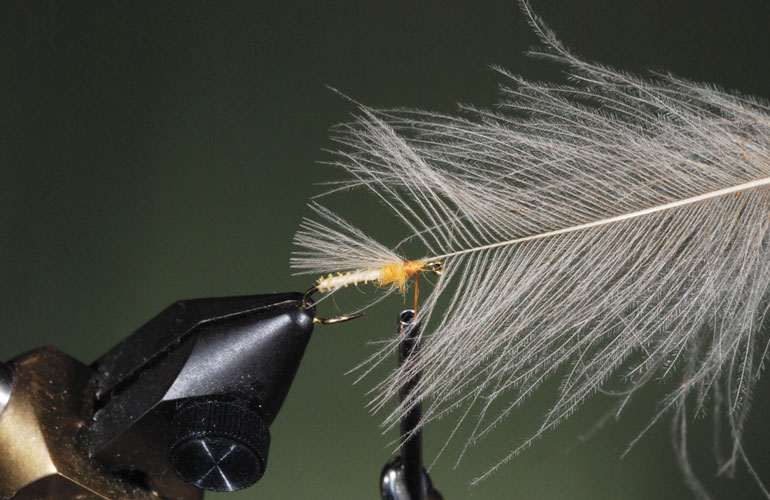 //content.osgnetworks.tv/flyfisherman/content/photos/How-to-Tie-the-Puff-Diddy-Fly-Step-3.jpg