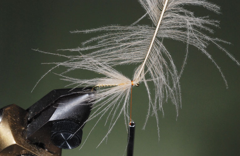 //content.osgnetworks.tv/flyfisherman/content/photos/How-to-Tie-the-Puff-Diddy-Fly-Step-4.jpg