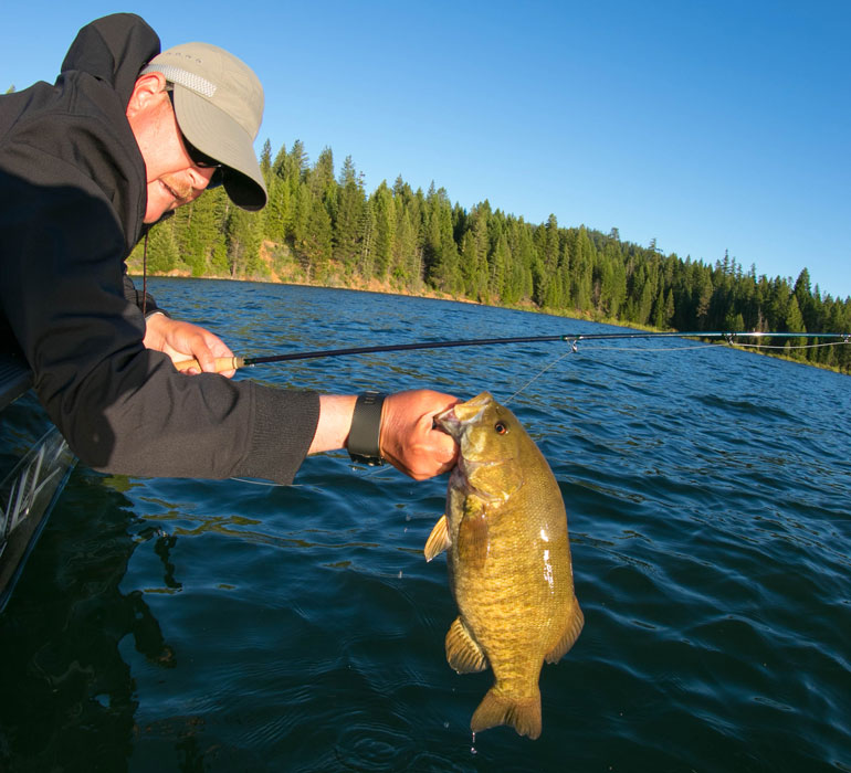 //content.osgnetworks.tv/flyfisherman/content/photos/Lake-Alamanor-Smallmouth-Bass.jpg