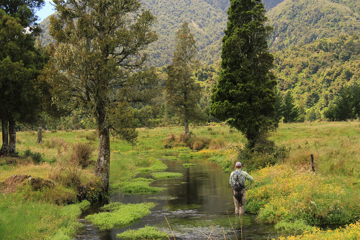 When Less is More: Light-Line Fly Fishing