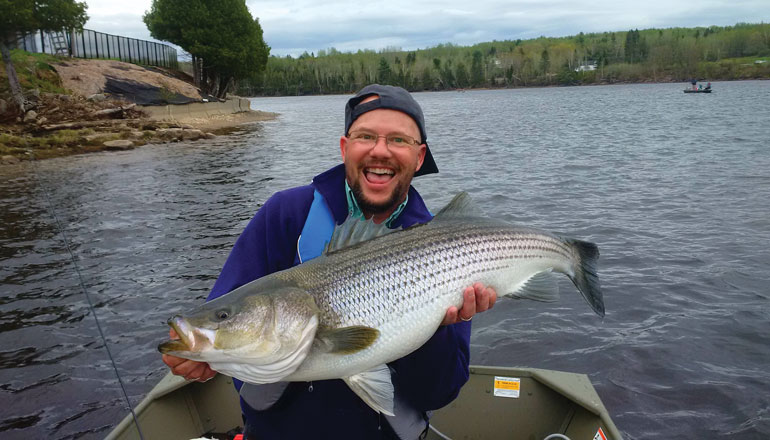 //content.osgnetworks.tv/flyfisherman/content/photos/Paul-Elson-Miramichi-Stripped-Bass.jpg