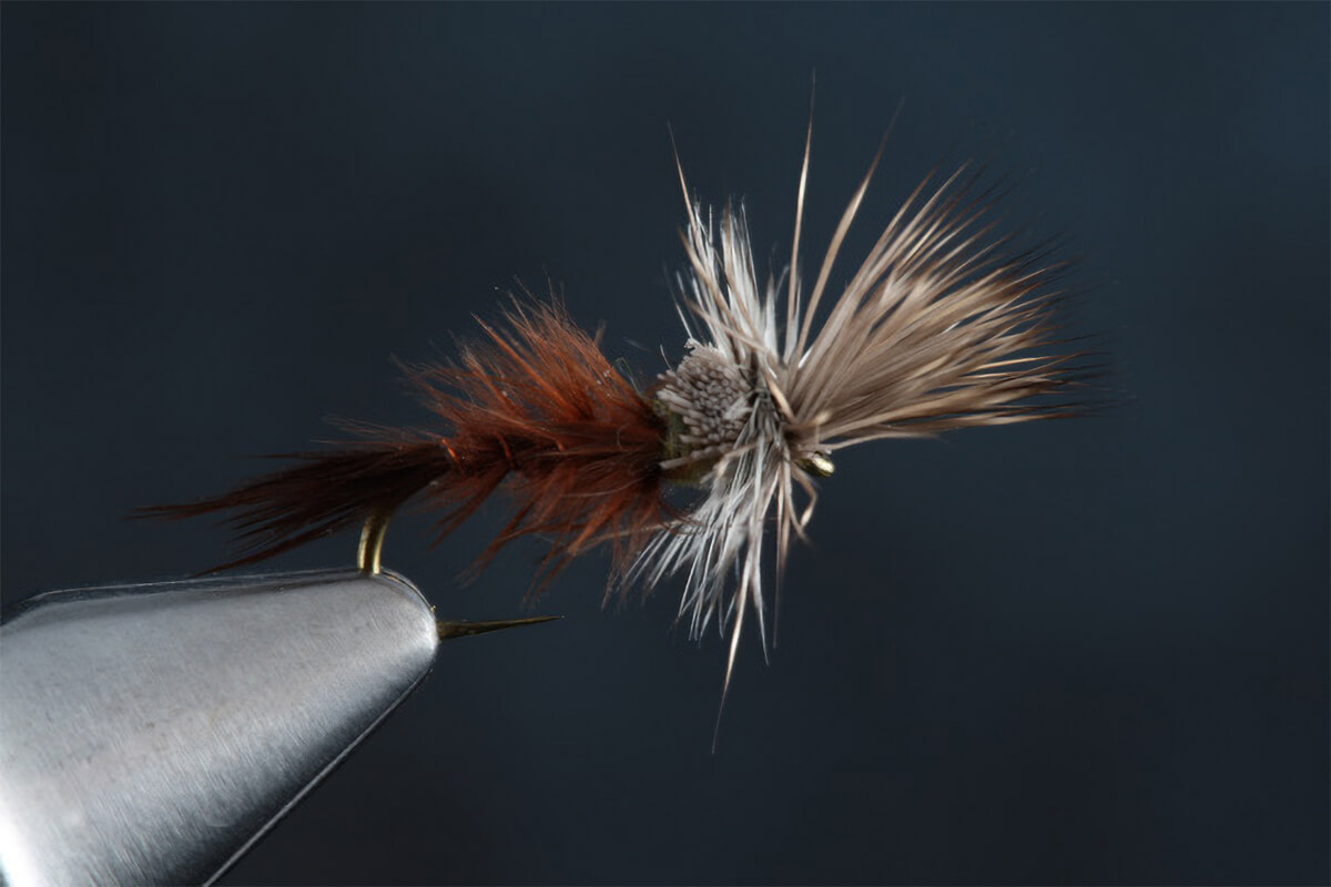 Tying the Quigley Cripple Dry Fly