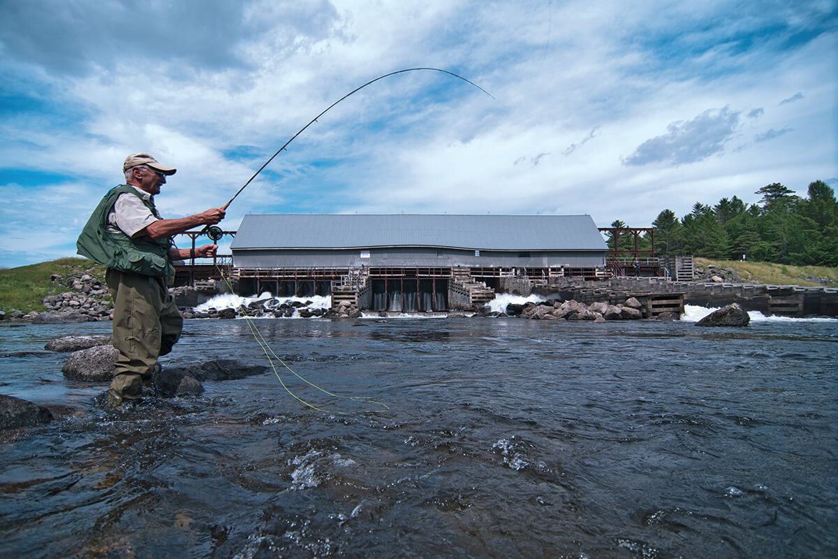 Fly Fishing for Rapid River Brook Trout