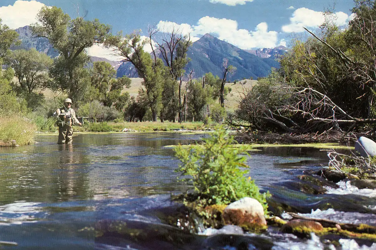 Fly Fisherman Throwback: How To Fish Small Dry Flies