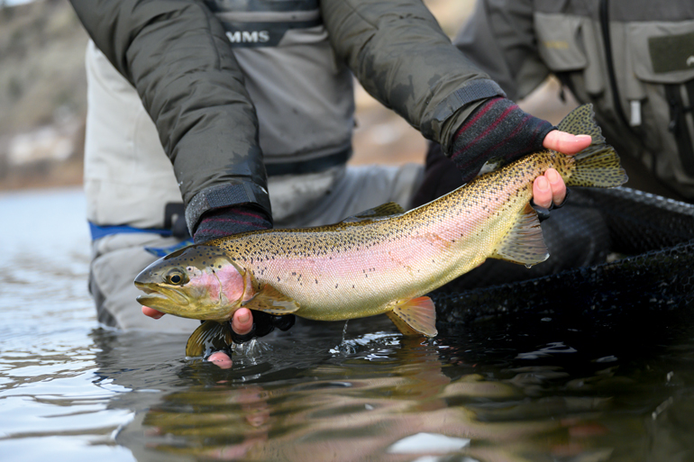 //content.osgnetworks.tv/flyfisherman/content/photos/Spey-Tactics-for-Trout.jpg