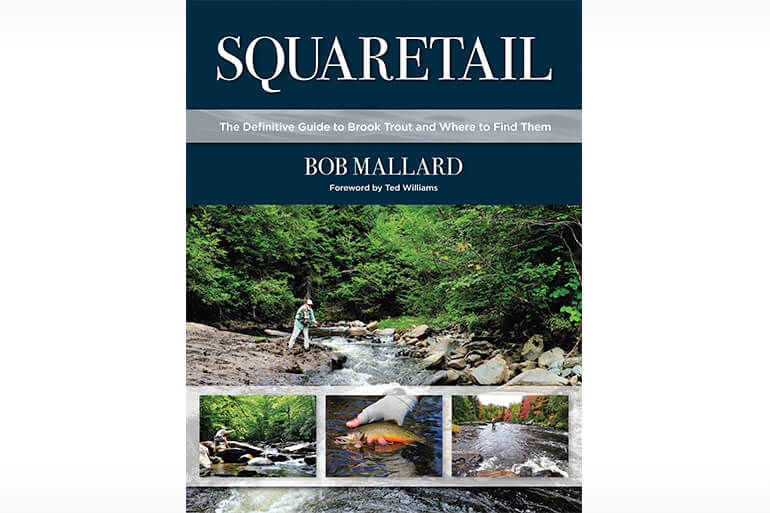 Squaretail: The Definitive Guide to Brook Trout and Where to Find Them