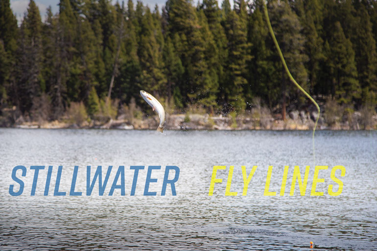 Stillwater Fly Lines