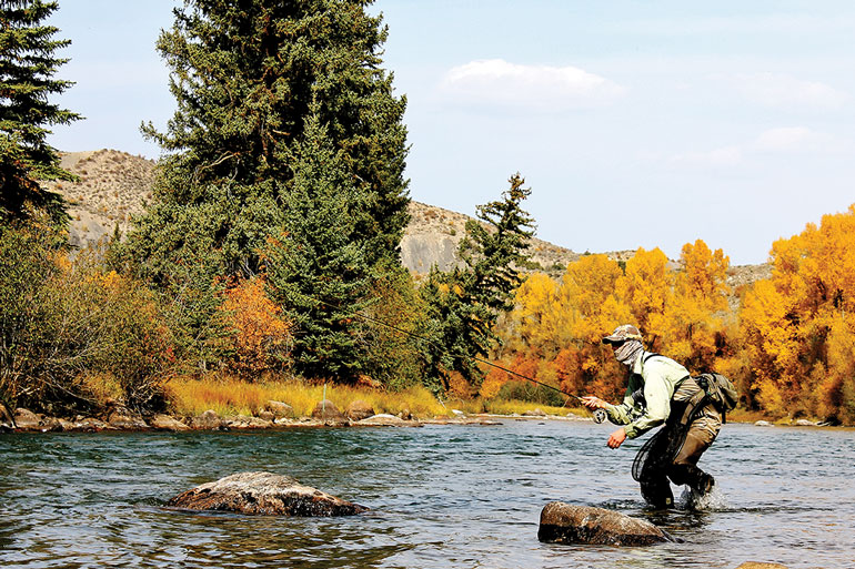 4 Unconventional Competition Fly-Fishing Rigs 