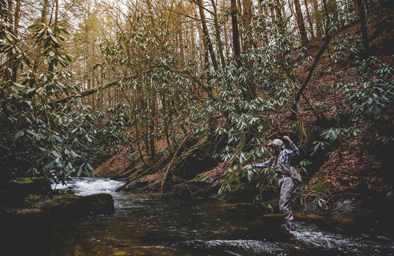 //content.osgnetworks.tv/flyfisherman/content/photos/Where-to-Fish-for-Trout-in-Streams.jpg