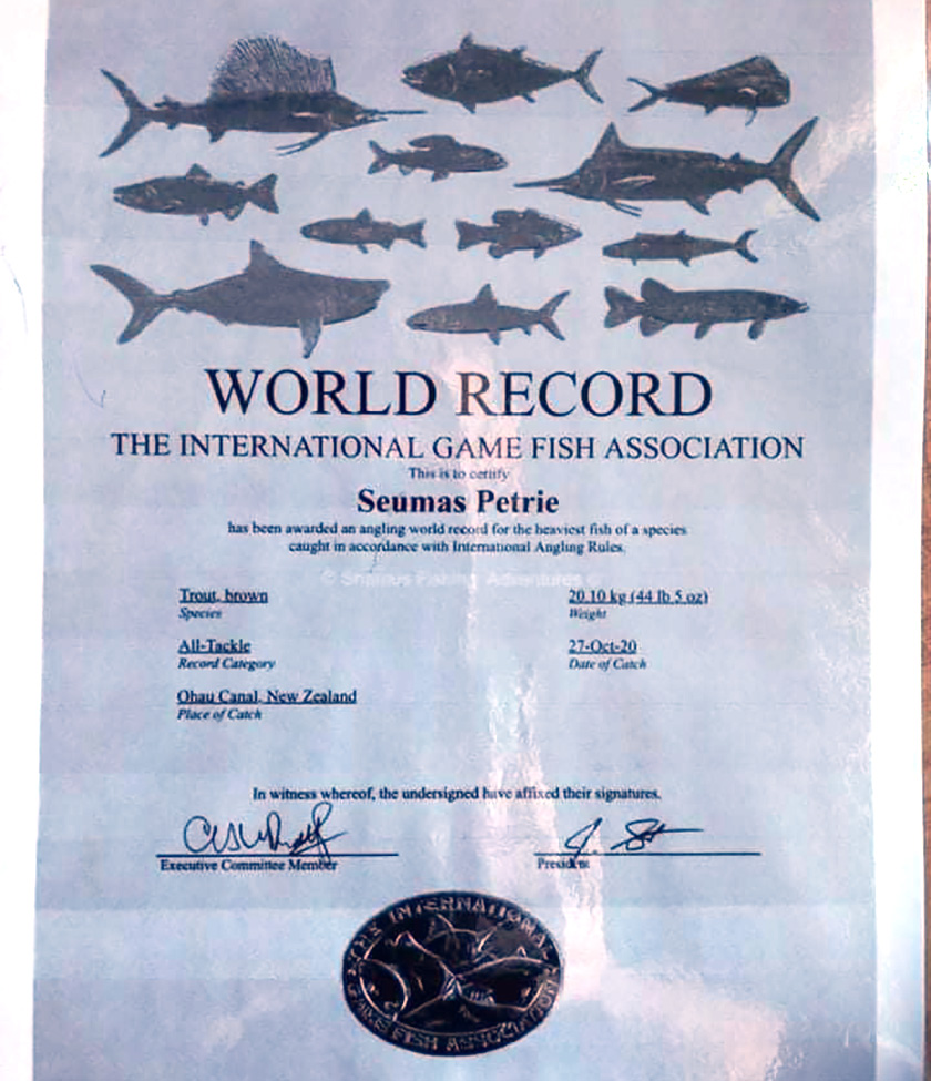 World Record Brown Trout IGFA Certificate