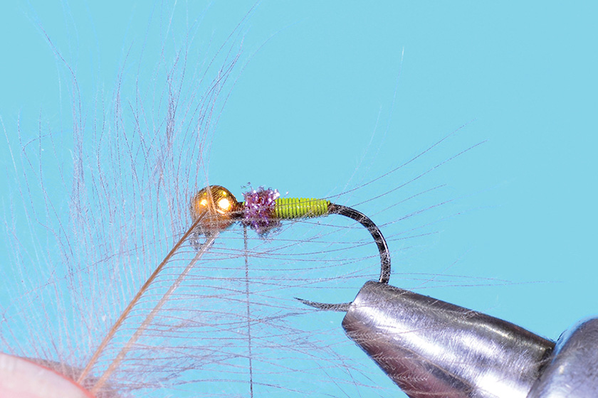 How to Tie the Sweet Meat Caddis Fly - Step 5