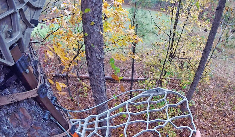 Deer Hunting: How to Execute a Spot Set