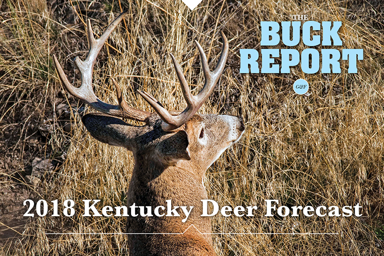 2018 Kentucky Deer Forecast