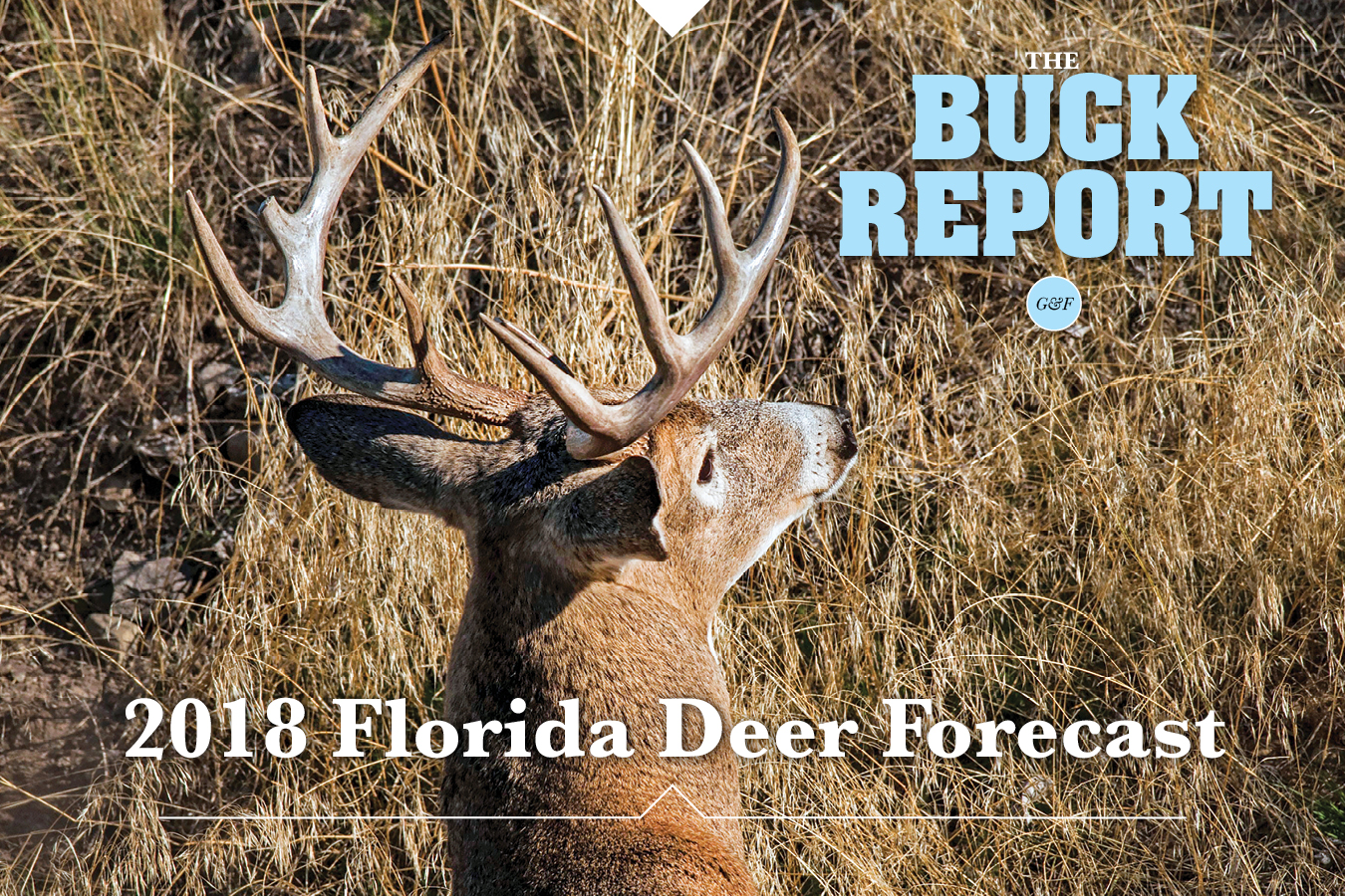 2018 Florida Deer Forecast
