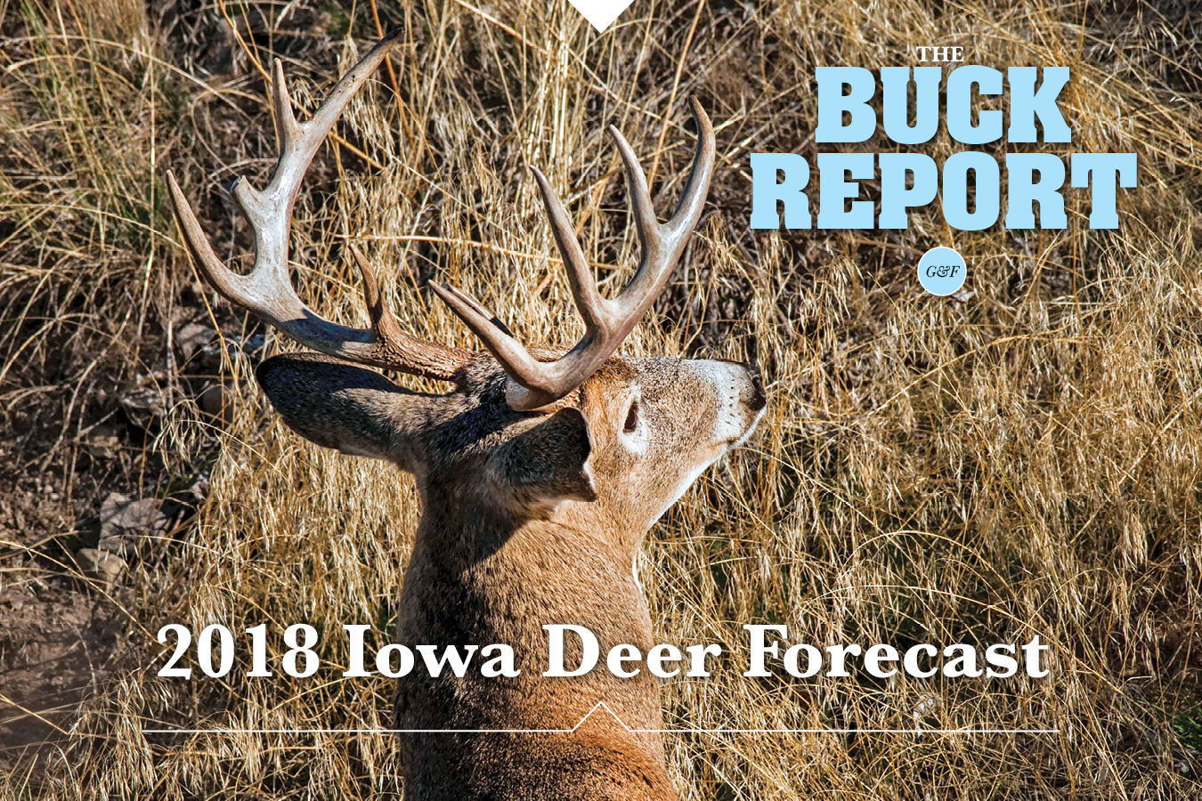 2018 Iowa Deer Forecast