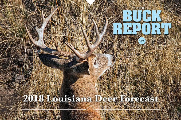 2018 Louisiana Deer Forecast
