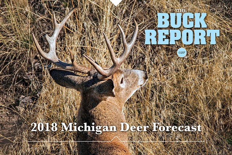 2018 Michigan Deer Forecast