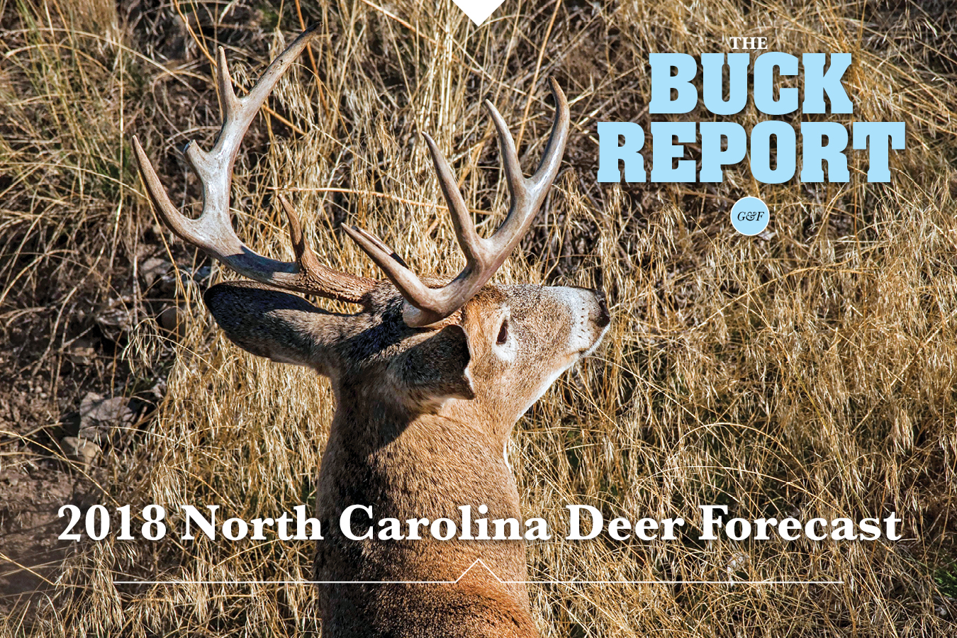 2018 North Carolina Deer Forecast