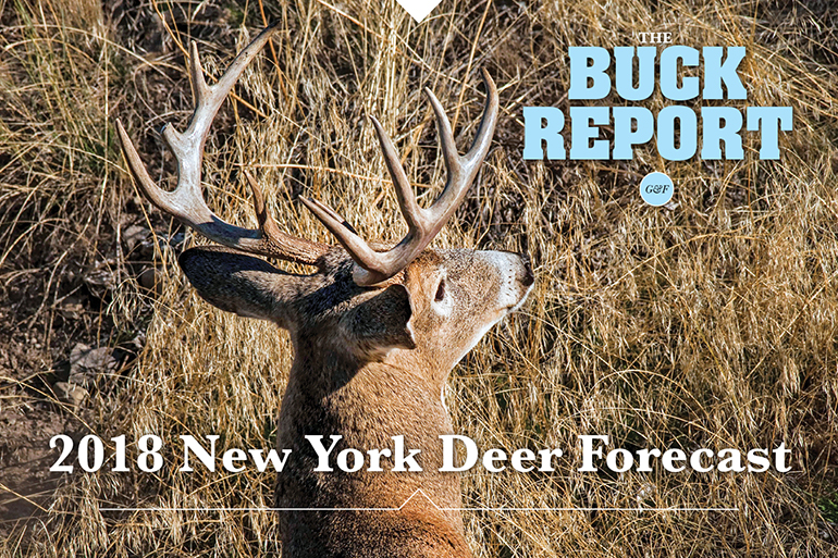 2018 New York Deer Forecast