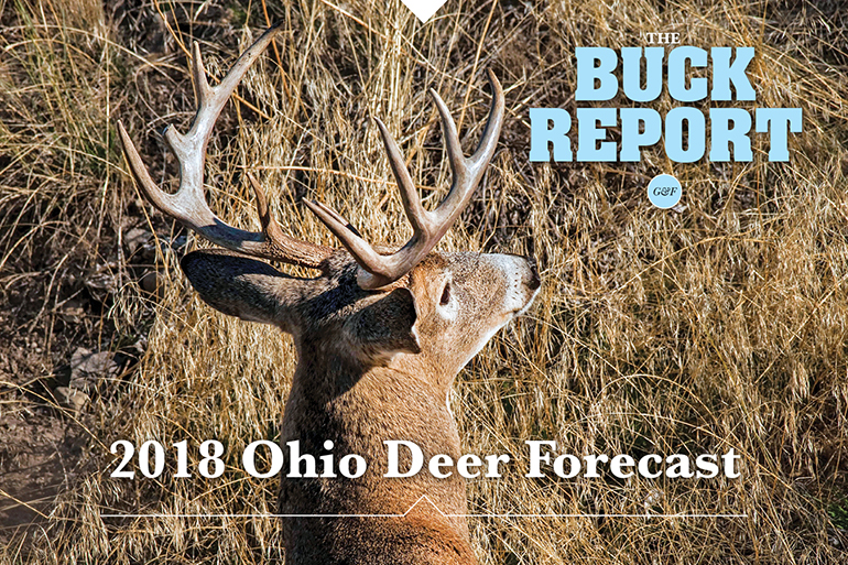 2018 Ohio Deer Forecast
