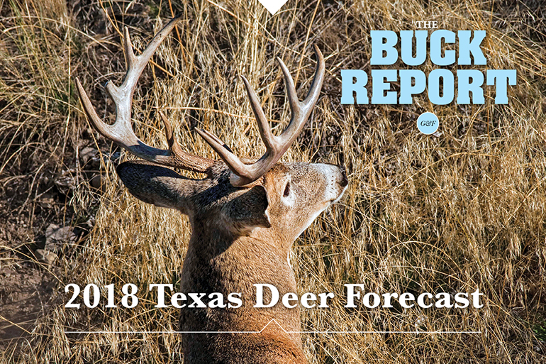 Deer Chart 2018