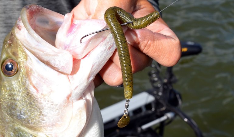 Give It a Spin: Tail-Spinner Worms Catch Big Bass
