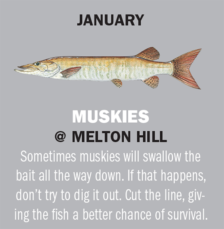 Tennessee Fishing Calendar 2019 Game & Fish